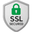 Logo Enkripsi SSL 256-bit